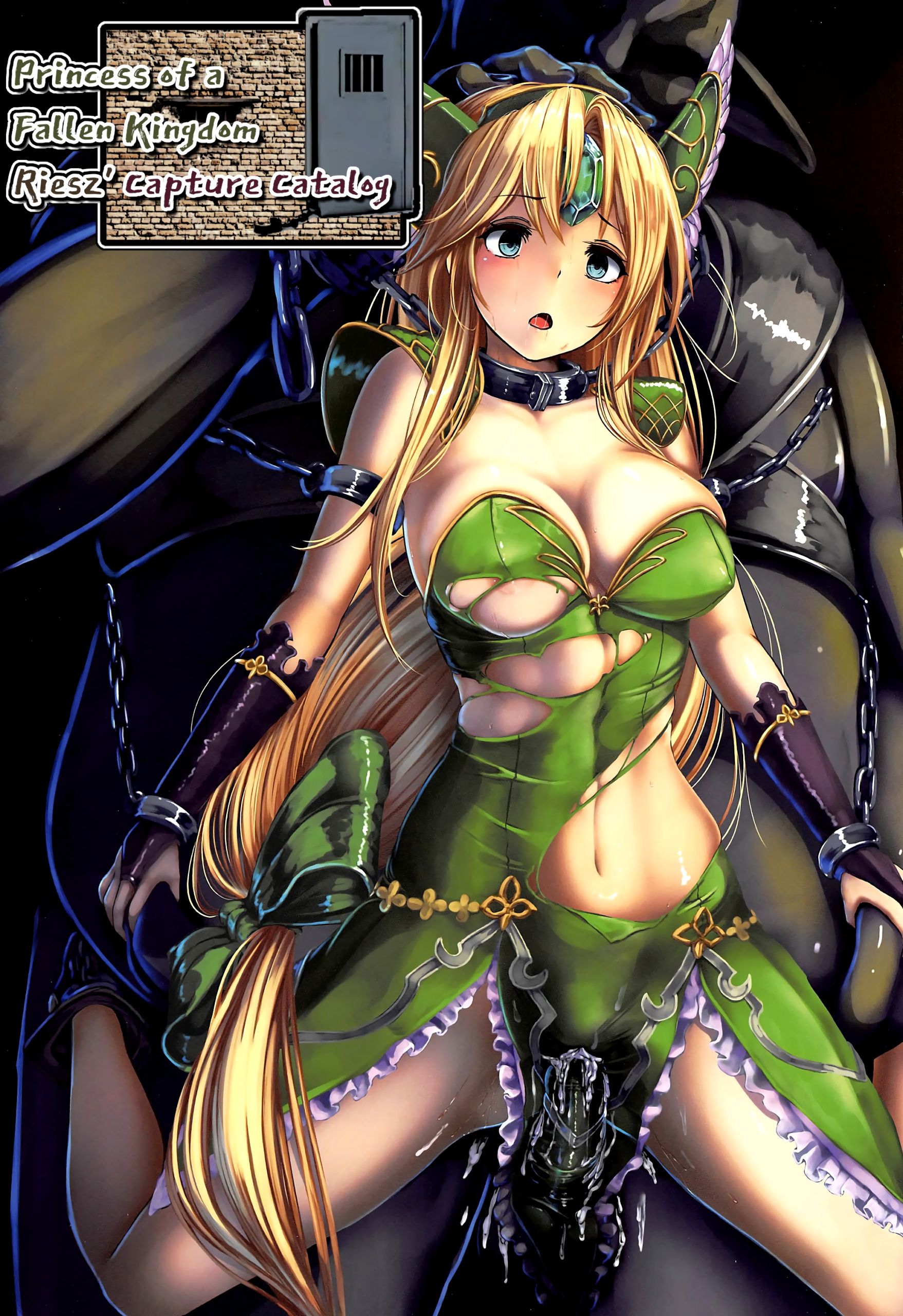 Comic Cover for Boukoku no Ojou Riesz Hobaku Mokuroku