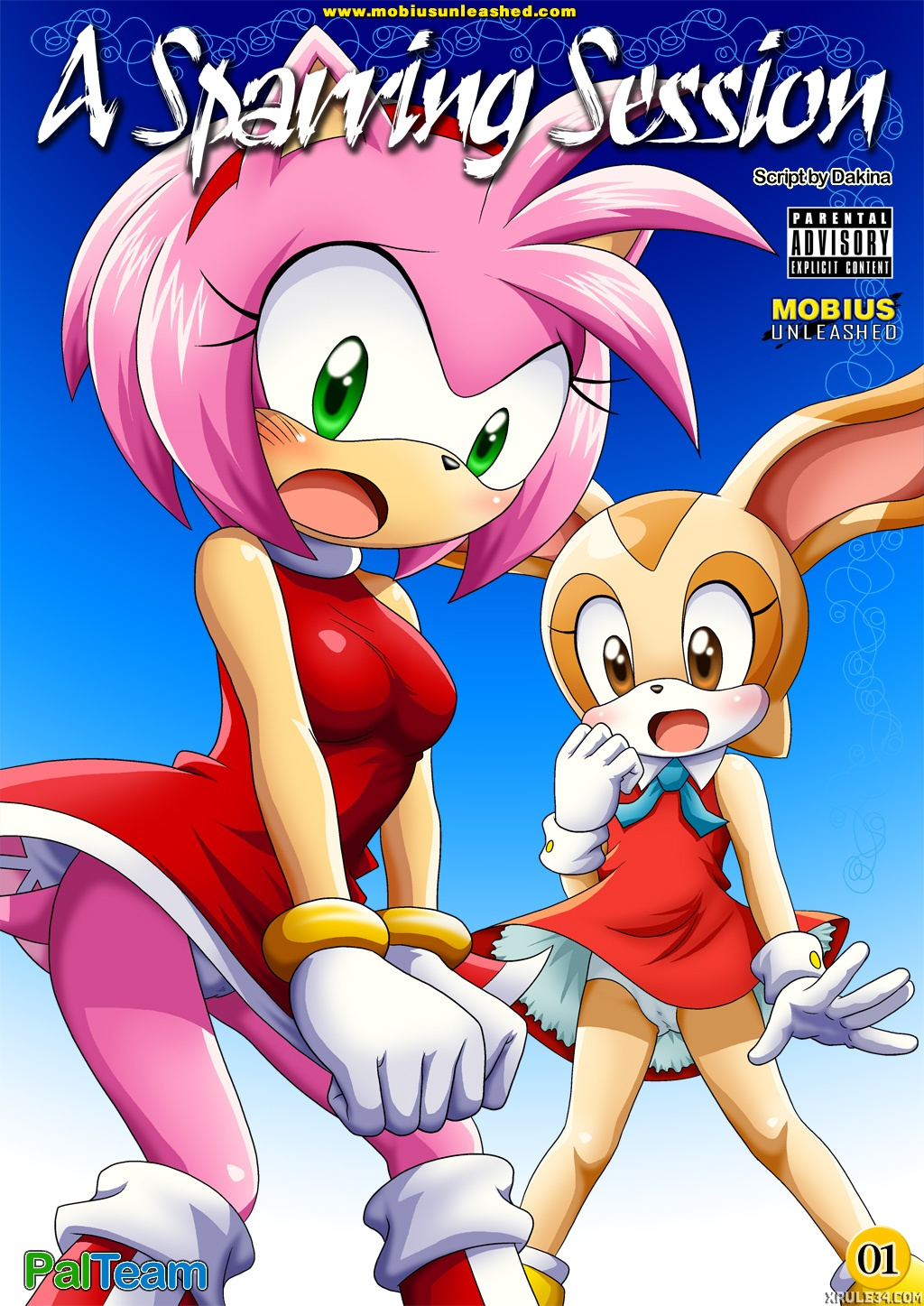 Comic Cover for A Sparring Session