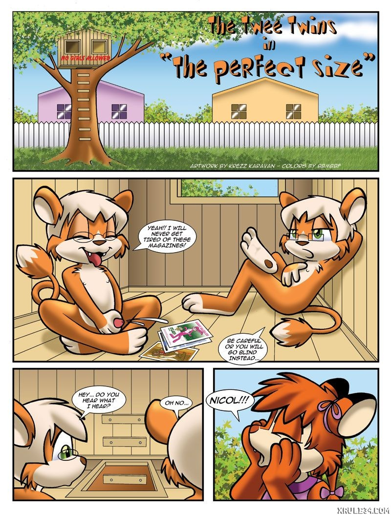 Comic Cover for The Pefect Size